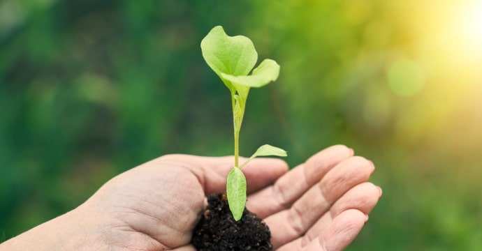 創エネ・蓄エネ・省エネ